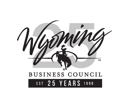 25th Anniversary Logo Black Shaded